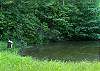 Birds house in the private fishing pond
