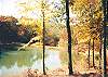 Private Fishing Pond in Fall so Spectacular!