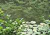 Water reflexion
