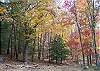 Wilscot Ridge Lodge in full colors of Fall