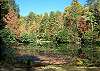 Walking distance to Indian Rock Fishing Pond and historical site.
Cherry Log Mountain has many lakes, fishing ponds and hiking trails to enjoy outdoor activities.