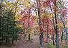 Wilscot Ridge Lodge in full colors of Fall