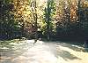 Fall at Wilscot Ridge Lodge. Picnic table at the private fishing pond.