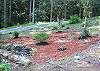 Double Gravel Driveway, Fire pit, Creek, wild life view.