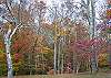 Wilscot Ridge Lodge in full colors of Fall
