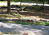 Double Gravel Driveway, Fire pit, Creek, wild life view.