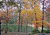 Wilscot Ridge Lodge in full colors of Fall