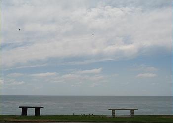 Ocean View -DMBC