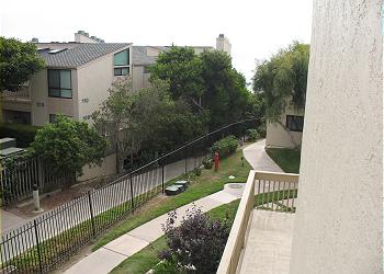 View from Patio