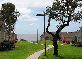Stairs down to the beach