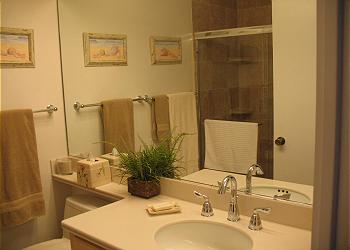 Guest bathroom