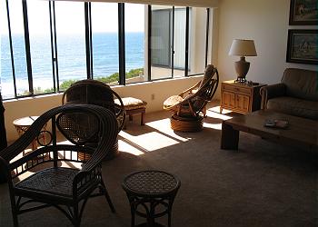 View from Living Room