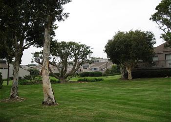 View of Grounds