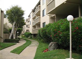 Grounds