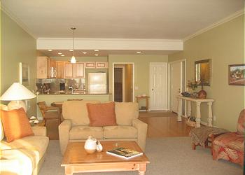 Living Room/Kitchen