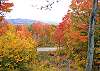 Standing on the deck or looking out from the dining and living area windows during the right NH Fall Foliage day in Franconia's #36 Woodchuck Trail and this is what you'll have.  It's here and waiting for you.