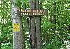 Located but 75 yards from the end of the road which accesses The Strawberry Hill State Forest, going for a walk into the woods is very easily done here.  That yellow sign on the tree says "welcome", as we assure you will be here.  The Rock's Estate is also not far away either.