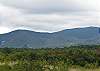 Mountain views will surround you at Bear moose Crossing.