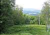 From either the master bedroom of or the thrid sitting level o fhte Silo you will enjoy a wonderful view down onto Streeter Pond and the meadow immediately below.  This meadow features some great walking paths!!