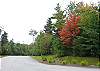 There is a reason it is called "Maplewood" Village if you hadn't wondered.  Come fall foliage there's no wonder about it as the reds-n-oranges burst forth as seen here.  Experience it for yourself by making your reservations for a fall stay- Today.  Calling 800.247.5536 gets it done!