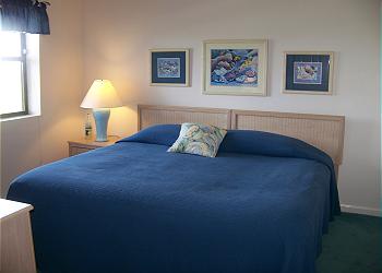 P805-Bedroom2