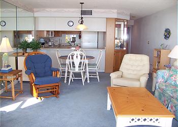 M309-LivingArea