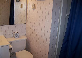 BH216-Bathroom1