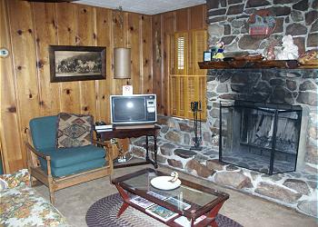 Big Bear Cabin / Bungalow rental - Interior Photo - Living Area