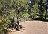 Big Bear Cabin / Bungalow rental - Exterior Photo - Back Yard