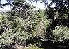 Big Bear Cabin / Bungalow rental - Exterior Photo - View from back deck
