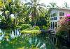 Kapoho House rental - Exterior Photo - Lagoon House 2 and Pond