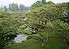 Carlsmith Park, a beautiful spot to swim and snorkel, is next door to Mauna Loa Shores.