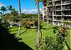 Your view from the lanai looking toward the ocean.