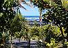 Looking out from the Honu Kai gate across the street to the Kapoho tide pools, officially known as the Waiopae Marine Conservation Area. Wonderful snorkeling is just steps away!
