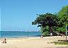 Alaua Hale is a 10-minute drive from the white sand beaches you've been dreaming of!
