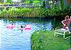 Kapoho House rental - Exterior Photo - Island Life