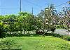 The Cottage sits on a large grassy yard; the many tropical plants provide great privacy!