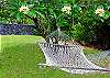 Relax and listen to the breeze in the palms and the sound of the waves as you lie in a hammock under the stars.