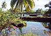 Kapoho House rental - Exterior Photo - View from Lagoon 2
