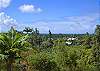 The living area and lanai have views of lush tropical vegetation, a far view of the ocean, and Mauna Kea on clear days.