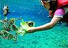 Kids of all ages will enjoy feeding time in the Lagoon!