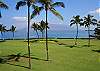 Yes, this is the actual view from the living area and lanai of Surfside 313.