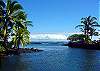 From the inlet in front of the cottage you can swim and snorkel right into Champagne Pond and out to the ocean with the turtles and reef fish!