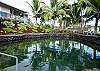 The private tidal pond is temperate and has tropical fish to swim with.  Gentle steps walk you right into the water.
