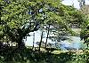 Use the binoculars in the unit to spot Honu (sea turtles) from the lanai and then run outside to swim with them!