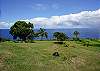 Roam the six-and-a-half acre grounds of Kailani situated along the famed Hamakua coast on the east side of the Big Island!