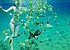 The lagoon at Lagoon House is nothing short of a 500,000-gallon private snorkeling aquarium!
