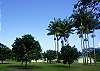 Help yourself to fruit from the citrus orchard at Ola Kai Views.