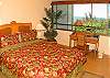 The master bedroom has a queen bed, large closets, warm tropical tones, and a great view!