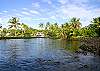 You'll find some of the best snorkeling on the island right here, all within walking distance!